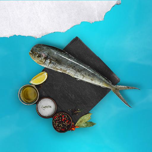Mahi Mahi [TN]